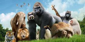 Promo NewProduct 133